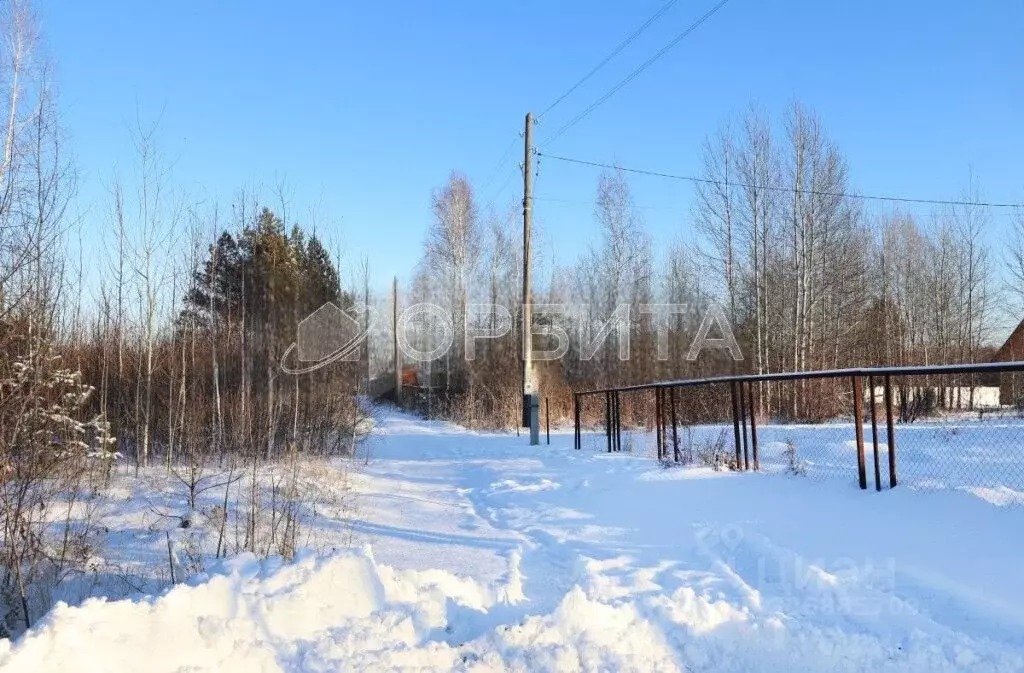 Участок в Тюменская область, Тюменский муниципальный округ, Нива СНТ ... - Фото 2