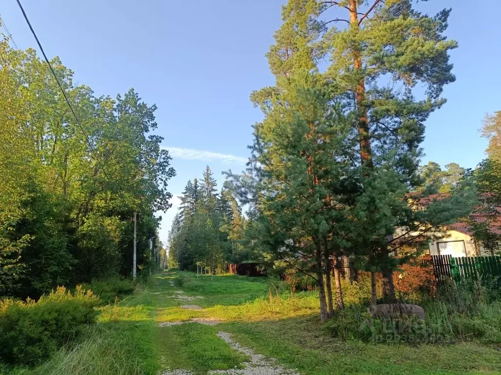 Дом в Ленинградская область, Гатчинский район, Сиверское городское ... - Фото 0