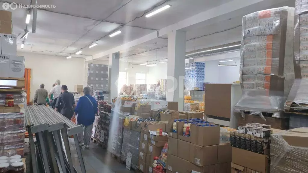 Помещение свободного назначения (320 м) - Фото 2