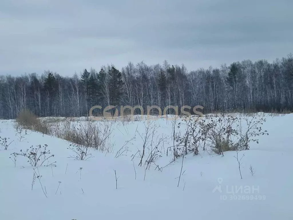 Участок в Тюменская область, Тюменский район, с. Кулига  (11.2 сот.) - Фото 0