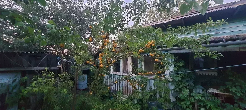 Дом в Московская область, Ленинский городской округ, д. Дыдылдино 40А ... - Фото 1