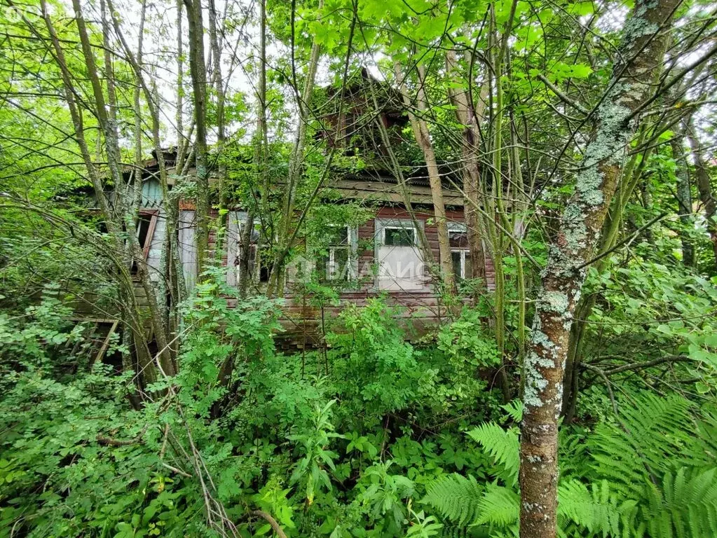Дом в Петушки, Красноармейская улица, 108 (50 м) - Фото 2