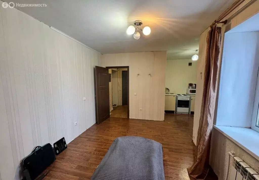 Квартира-студия: село Михайловка, Сливовая улица, 3 (28 м) - Фото 1