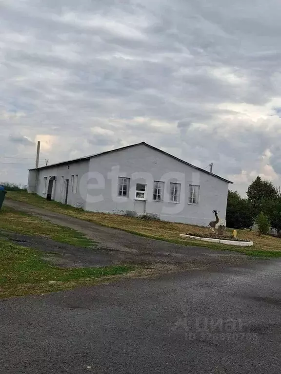 Помещение свободного назначения в Белгородская область, Вейделевский ... - Фото 1