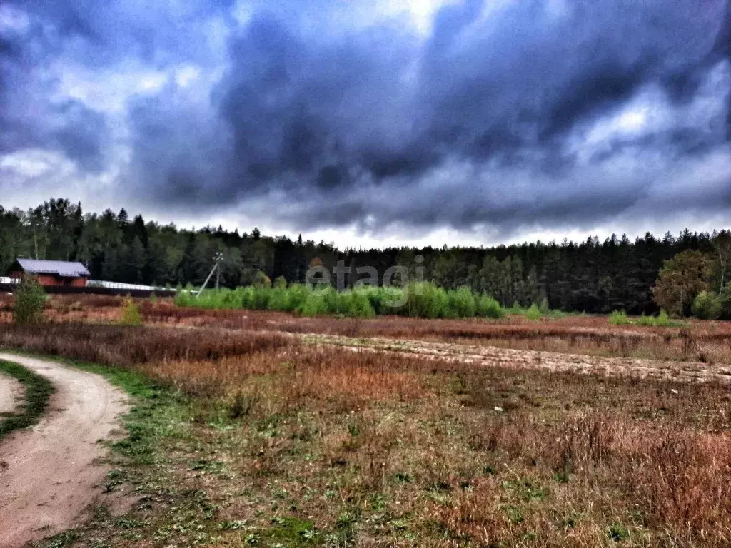 Участок в Нижегородская область, Навашинский муниципальный округ, с. ... - Фото 1