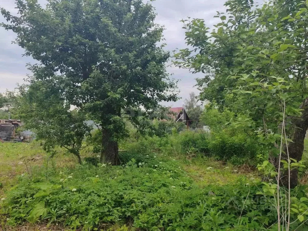 Участок в Тульская область, Алексин ул. Жаличня, 18 (7.76 сот.) - Фото 0