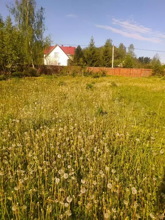 Участок 12 сот. (СНТ, ДНП) - Фото 0