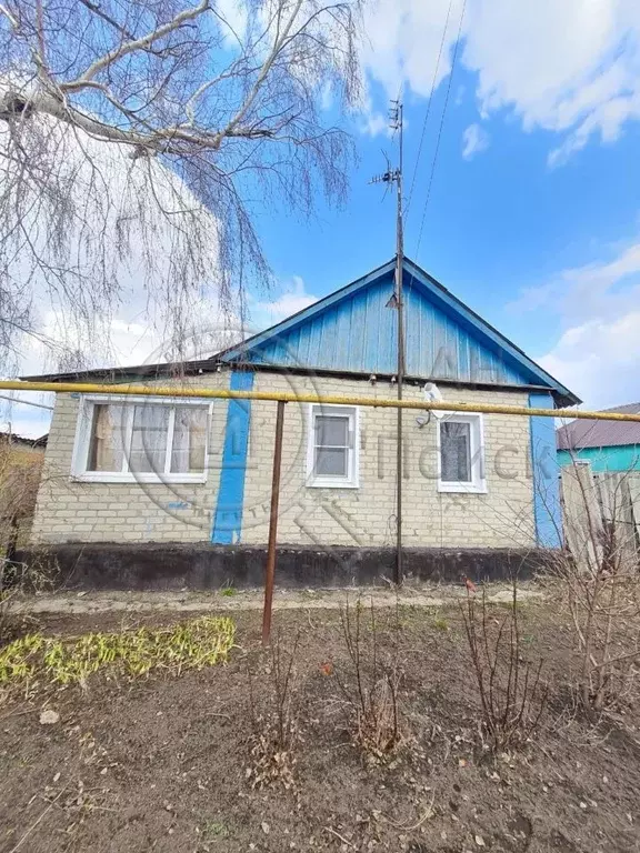 Дом в Курская область, Солнцево рп ул. 1-я Луговая, 54 (44 м) - Фото 0