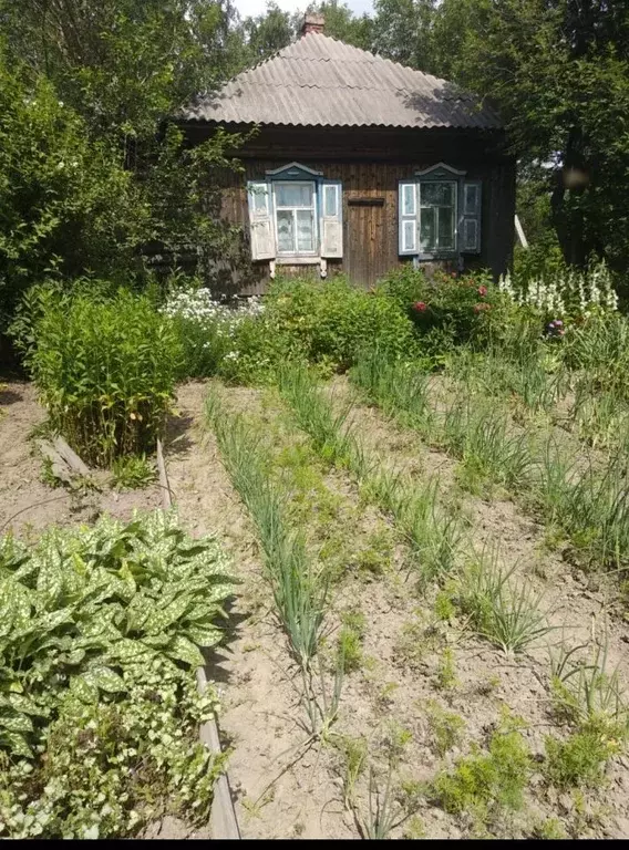 Дом в Кемеровская область, Березовский пер. Маяковского (41 м) - Фото 1