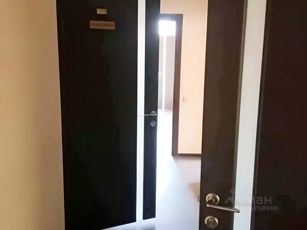 Помещение свободного назначения в Ленинградская область, Луга просп. ... - Фото 2