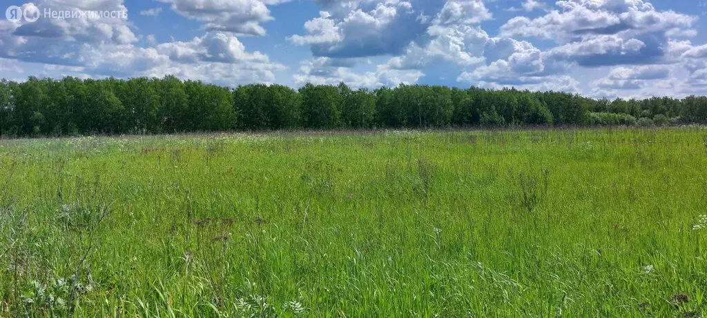 Участок в Московская область, муниципальный округ Чехов, деревня ... - Фото 2