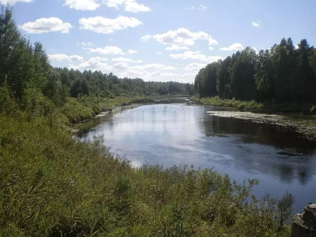 Участок в Вологодская область, Бабушкинский муниципальный округ, д. ... - Фото 1