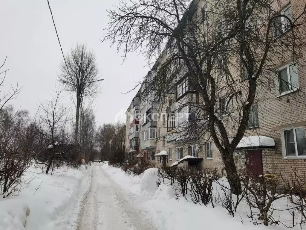 2-к кв. Московская область, Ногинск Богородский городской округ, ул. ... - Фото 1