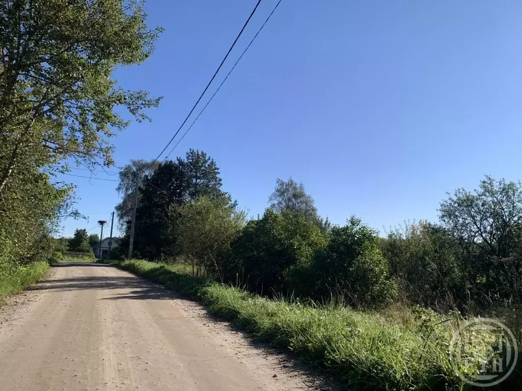 Участок в Ленинградская область, Тосненский район, Форносовское ... - Фото 2