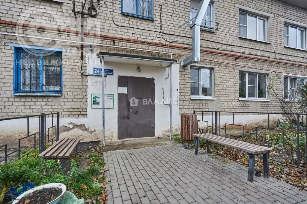 1-к кв. Воронежская область, с. Новая Усмань ул. Юбилейная, 24 (28.0 ... - Фото 2