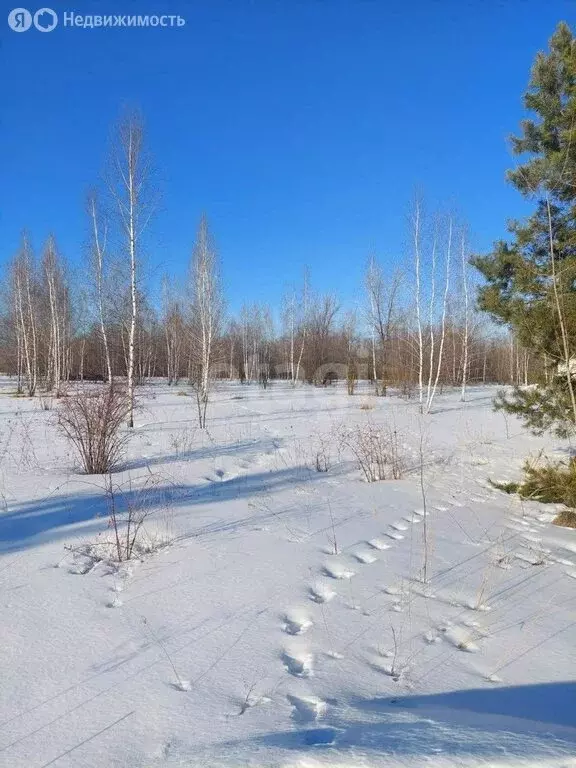 Участок в село Новая Усмань, Виноградная улица (10 м) - Фото 0