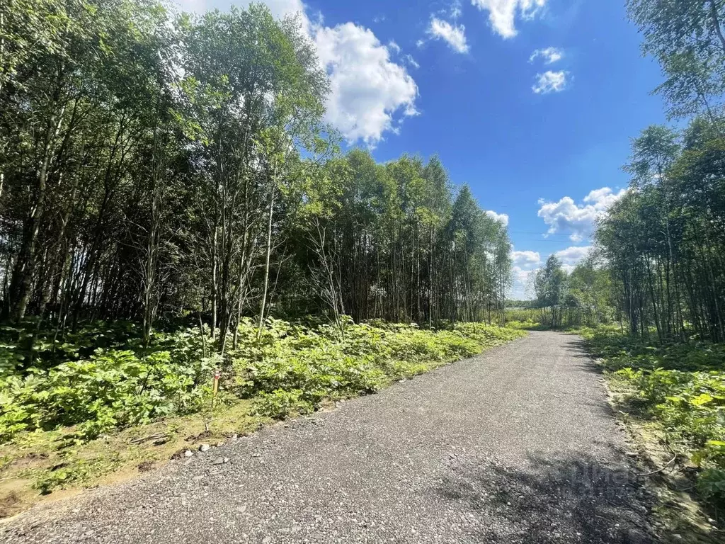 Участок в Московская область, Солнечногорск городской округ, д. Новая  ... - Фото 0