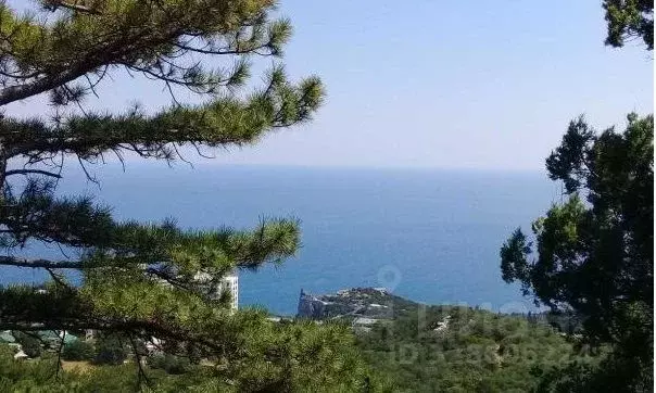 Участок в Крым, Ялта муниципальный округ, Гаспра пгт ш. Алупкинское, 8 ... - Фото 2