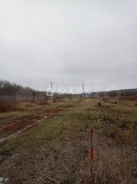 Участок 30 сот. (СНТ, ДНП) - Фото 0