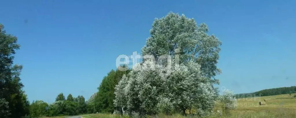 Участок в Калужская область, Бабынинский муниципальный округ, ... - Фото 2