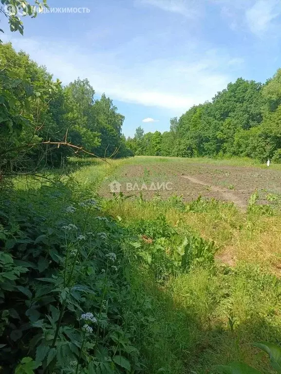 Участок в село Казино, улица Мира (127 м) - Фото 1