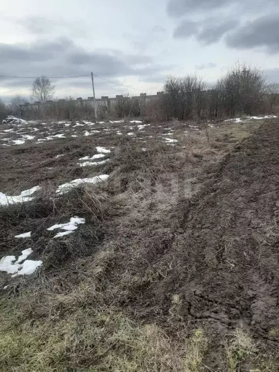 Участок в Брянская область, Навля рп  (1280.0 сот.) - Фото 2