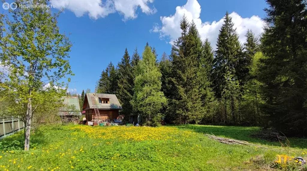 Участок в Наро-Фоминский городской округ, СНТ Ручей (10 м) - Фото 1