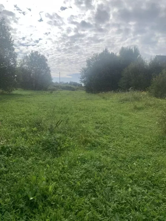 Участок в Калужская область, Перемышль с/пос, д. Хохловка  (15.0 сот.) - Фото 2