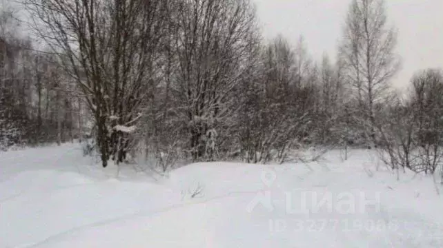 Участок в Московская область, Коломна городской округ, с. Нижнее ... - Фото 1