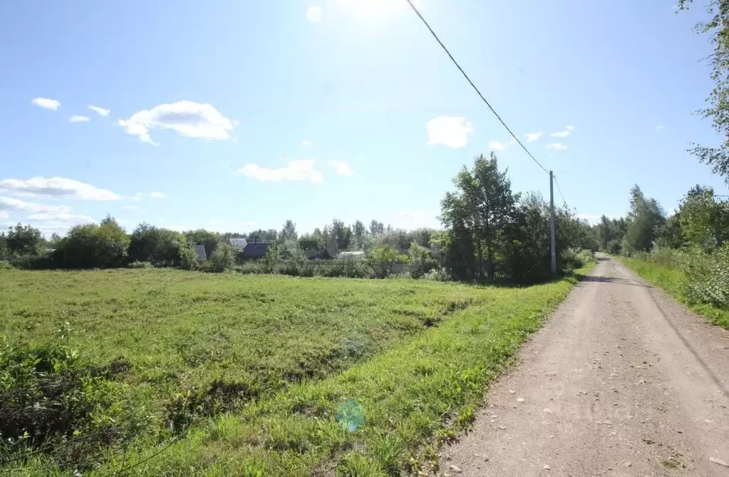 Участок в Вологодская область, Шекснинский муниципальный округ, Заря-2 ... - Фото 1