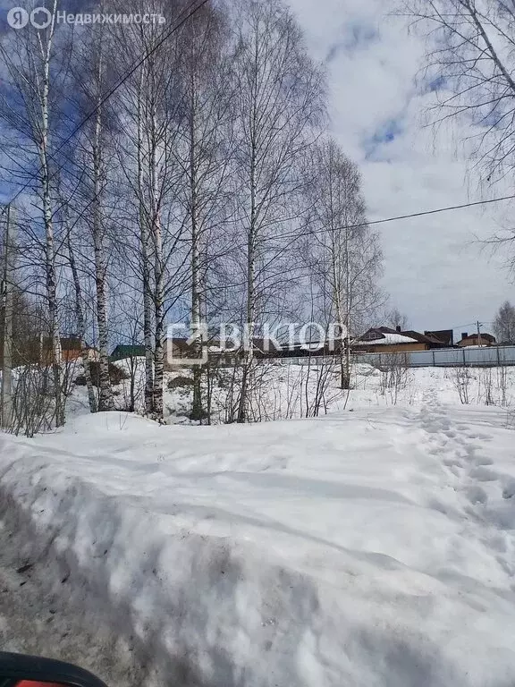 Участок в Кострома (10 м) - Фото 1