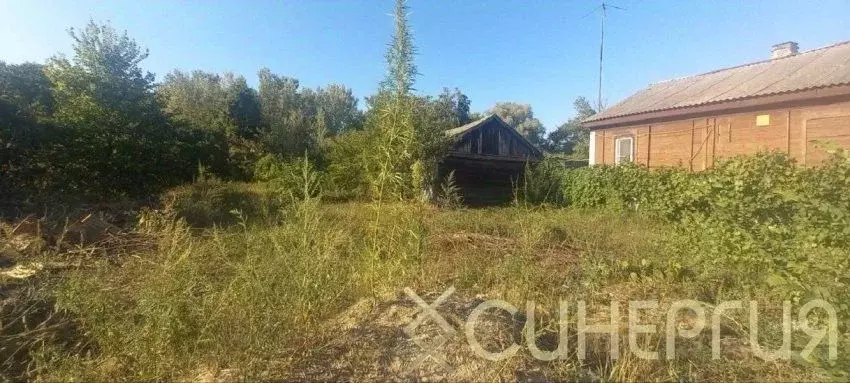 Участок в Ростовская область, Азовский район, Елизаветинское с/пос, ... - Фото 2