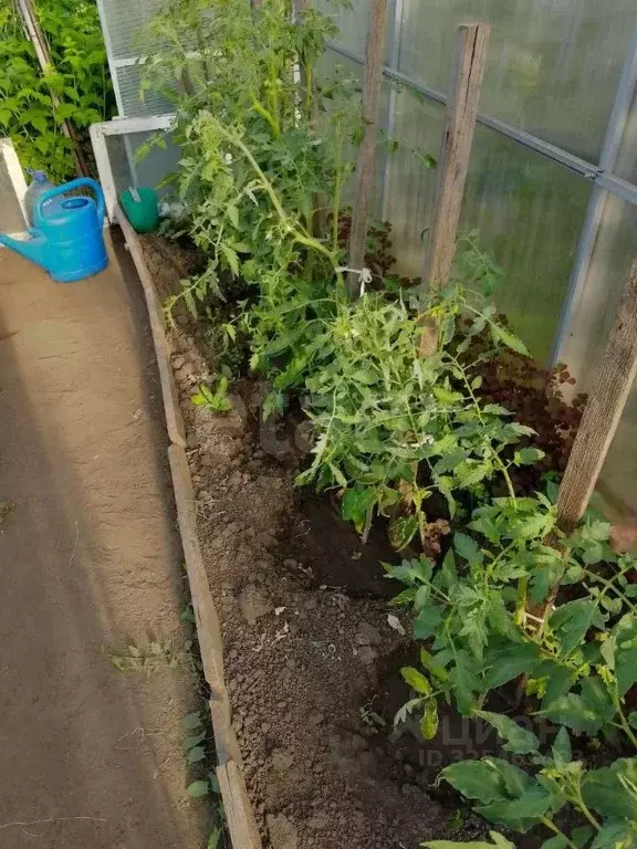 Участок в Новосибирская область, Бердск Ветеран садовое товарищество,  ... - Фото 2