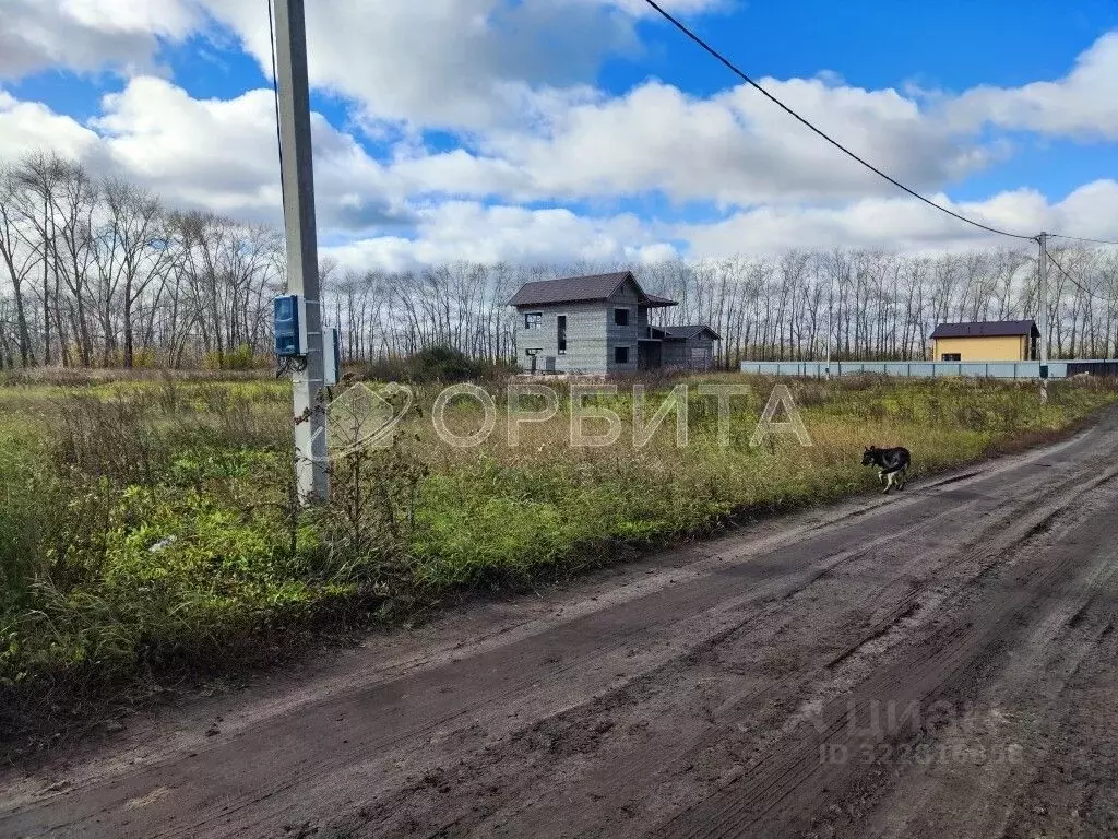 Участок в Тюменская область, Тюменский муниципальный округ, с. Луговое ... - Фото 2