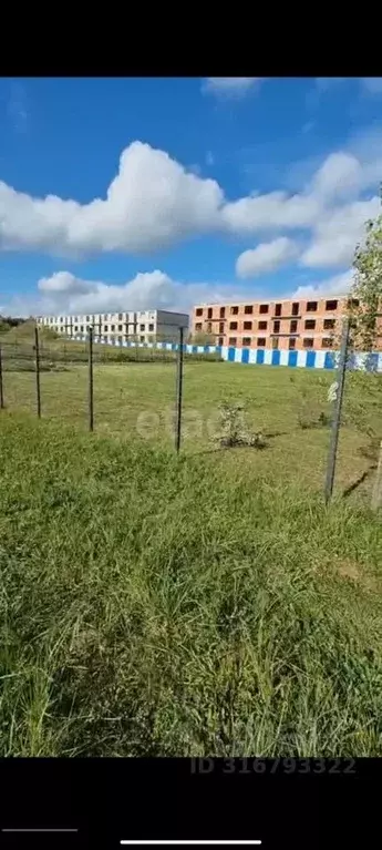 Участок в Калининградская область, Зеленоградский муниципальный округ, ... - Фото 0