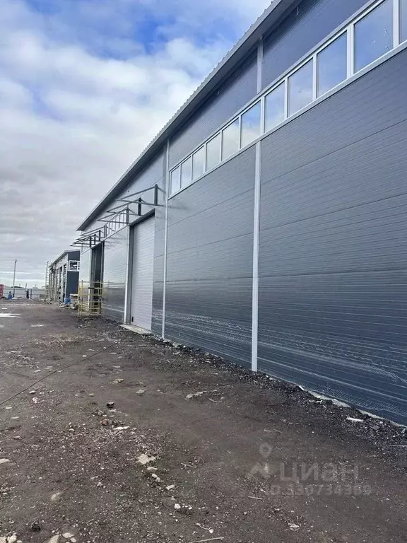 Склад в Московская область, Домодедово Барыбино мкр, ул. ... - Фото 1