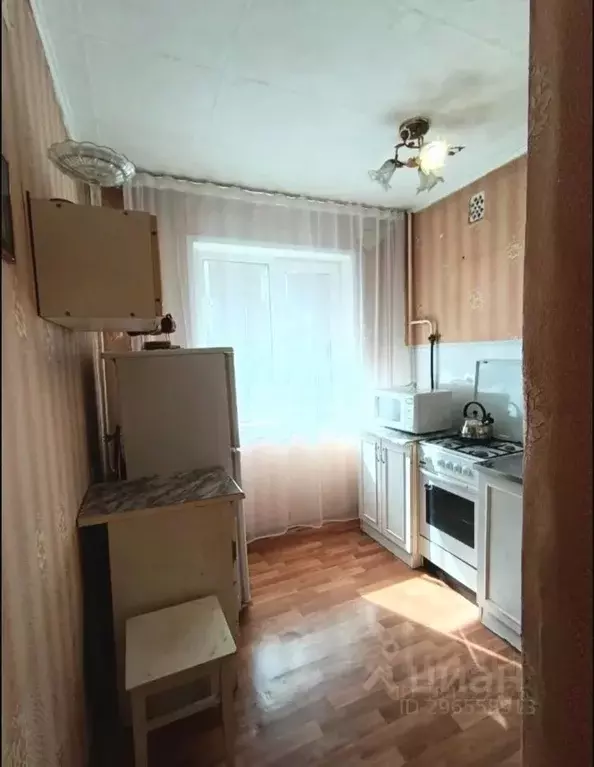 1-к кв. Алтайский край, Барнаул ул. Островского, 58 (31.0 м) - Фото 1