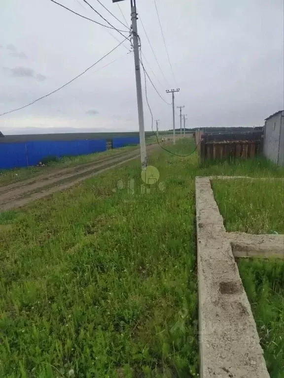 Участок в Иркутская область, Иркутский муниципальный округ, д. ... - Фото 2