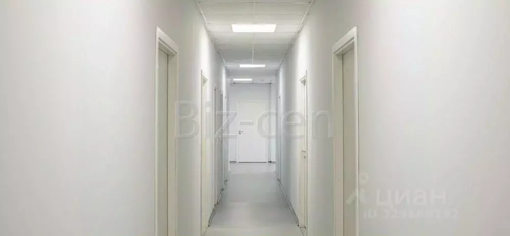 Офис в Санкт-Петербург Хрустальная ул., 11Х (100 м) - Фото 1