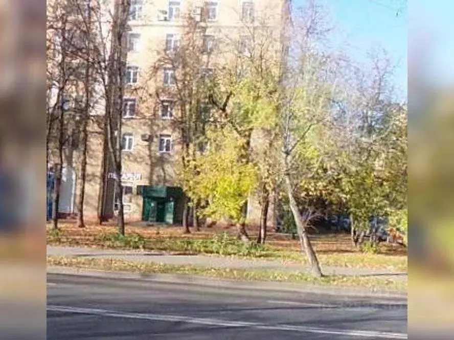 Торговая площадь в Москва 9-я Парковая ул., 41 (114 м) - Фото 1