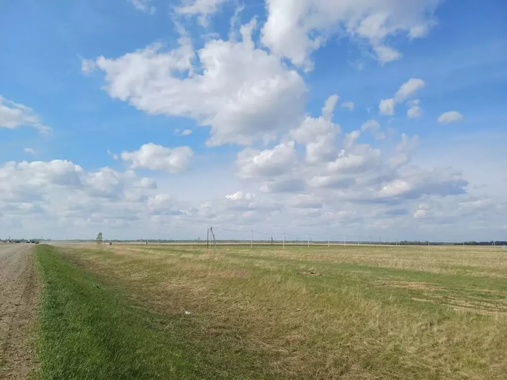 Участок в Новосибирская область, Новосибирский район, Толмачевский ... - Фото 1