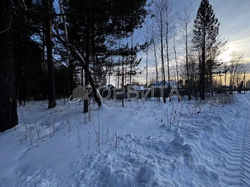 Участок в Тюменская область, Нижнетавдинский район, с. Тюнево ул. ... - Фото 0