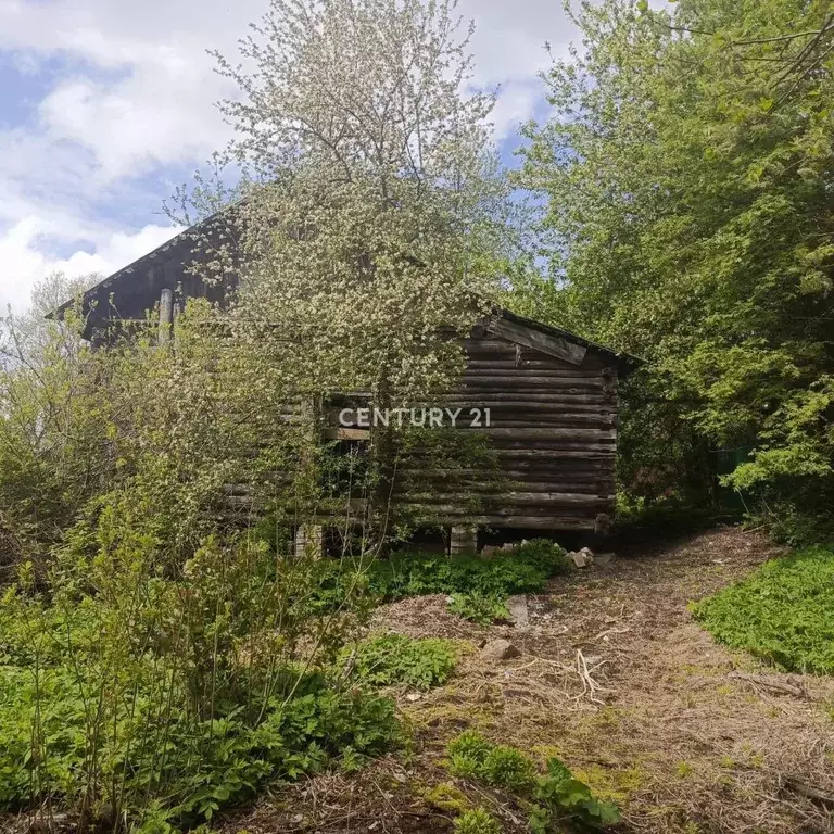Участок в Тверская область, Калининский муниципальный округ, д. Старый ... - Фото 2