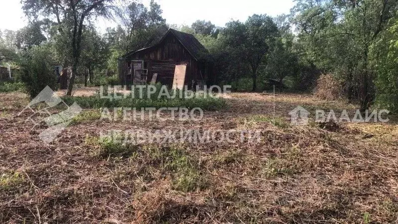 Участок в Рязанская область, Рязань Дружба садоводческое товарищество, ... - Фото 1