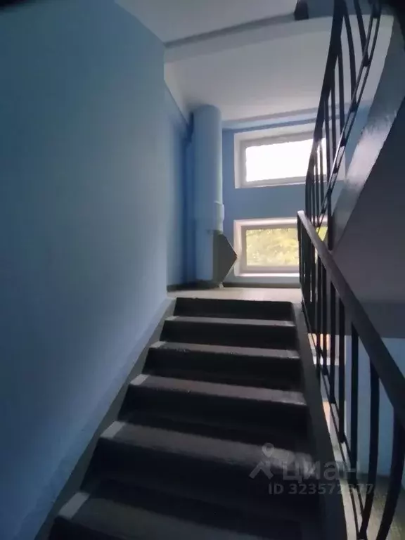 Комната Москва Сумской проезд, 27 (29.3 м) - Фото 2