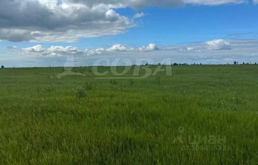 Участок в Тюменская область, Ялуторовский район, с. Киева  (300.0 ... - Фото 0