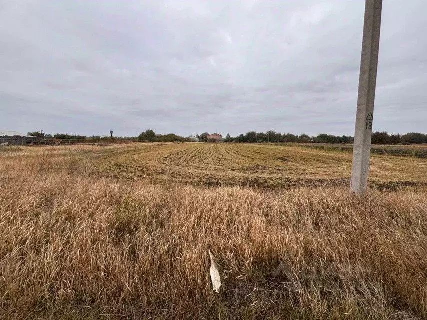 Участок в Ростовская область, Неклиновский район, Поляковское с/пос, ... - Фото 2
