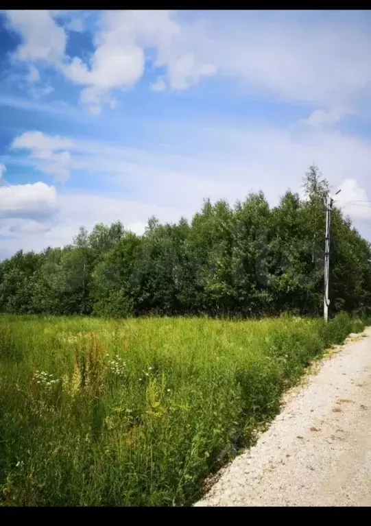 Участок в Владимирская область, Александровский район, Каринское ... - Фото 1