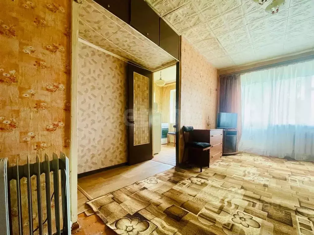 1-к кв. Псковская область, Остров 1 Мая ул., 5 (31.5 м) - Фото 1