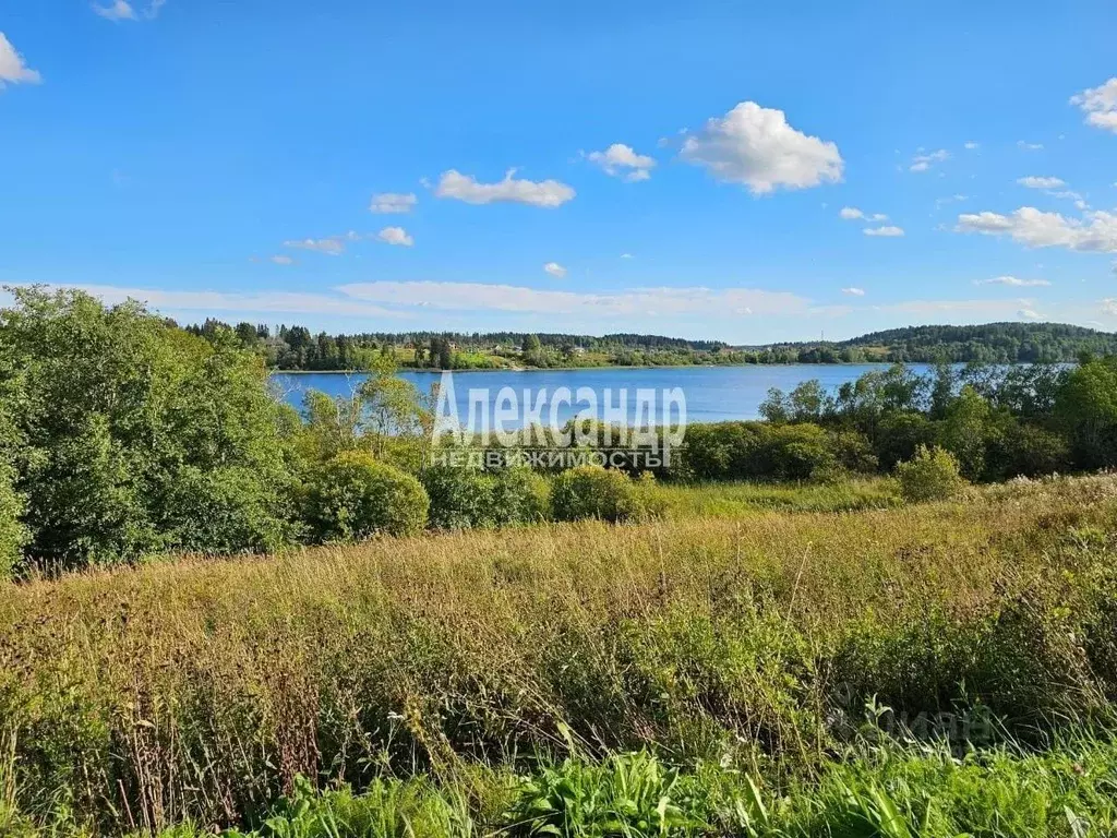 Участок в Карелия, Сортавала Рантала тер.,  (57.0 сот.) - Фото 1